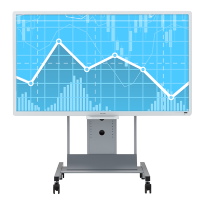 Ricoh D8400 for Business